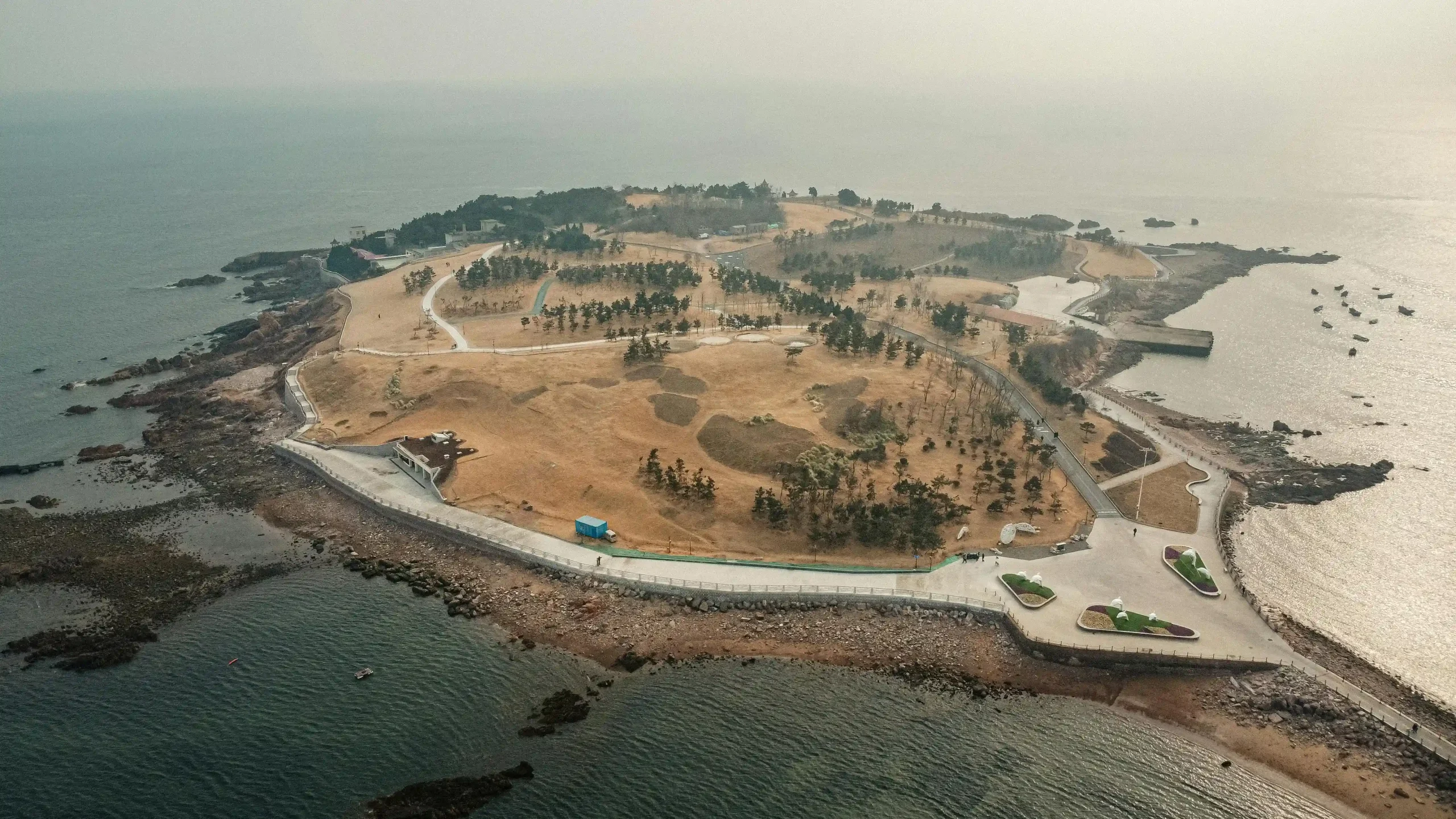 pexels-jesserphotonyc-30806847